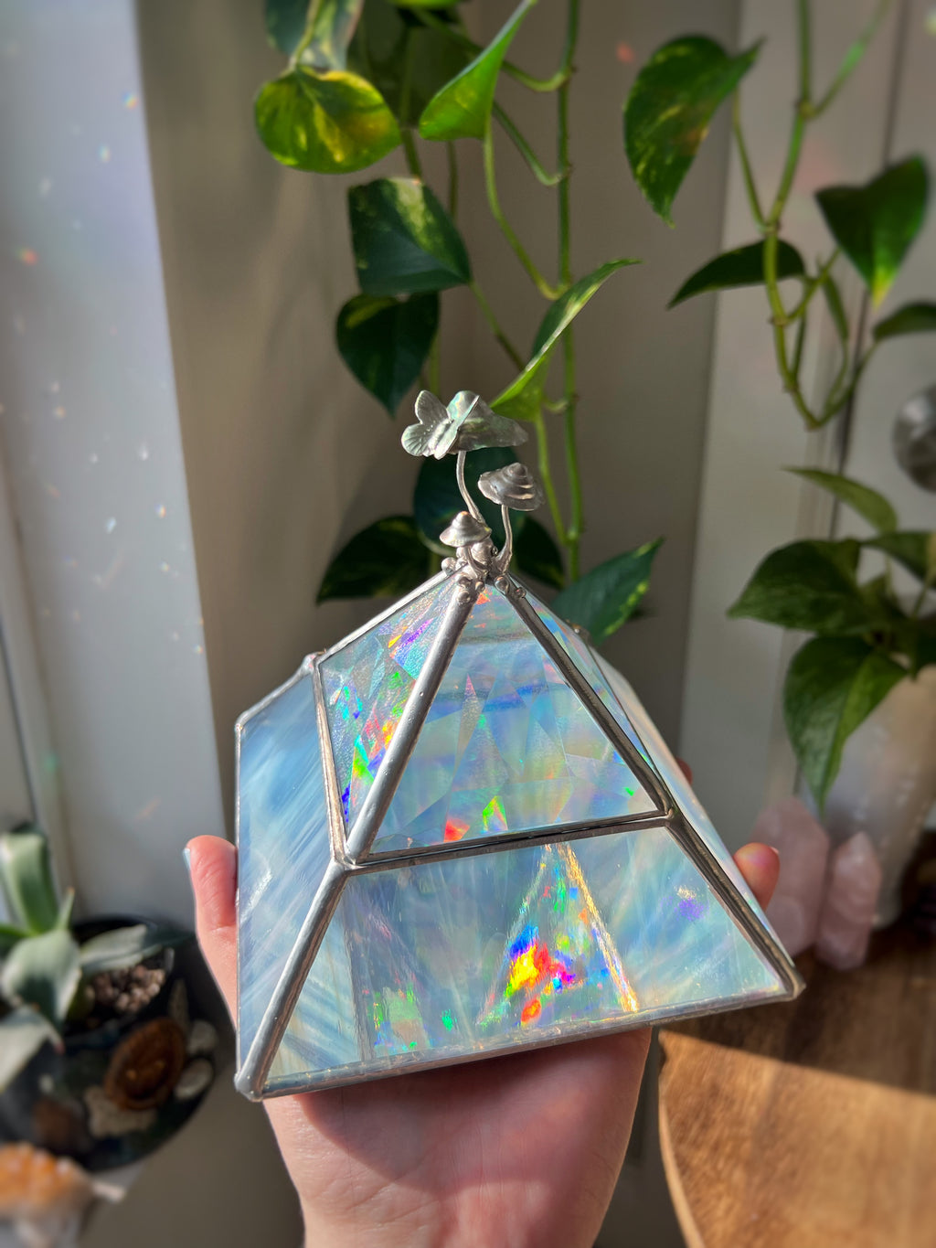 White mushroom pyramid box