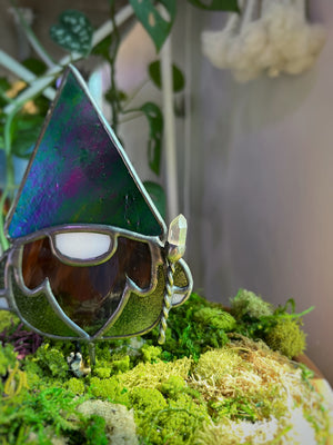 Wizard gnome