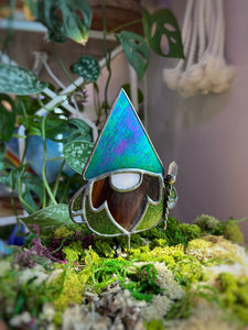 Wizard gnome